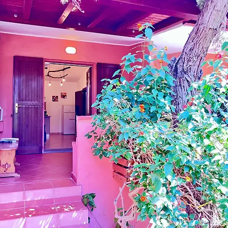 Apartamento Holiday Close To The Sea